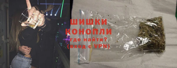 ECSTASY Липки