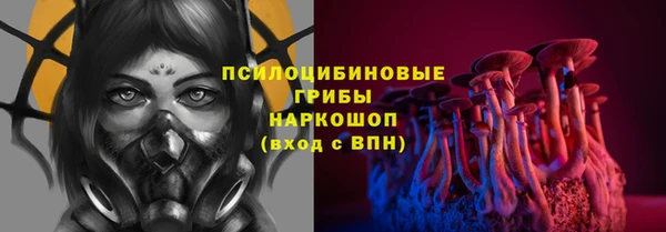 ECSTASY Липки