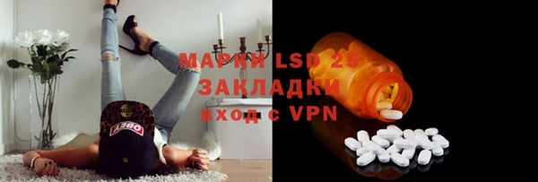 ECSTASY Липки