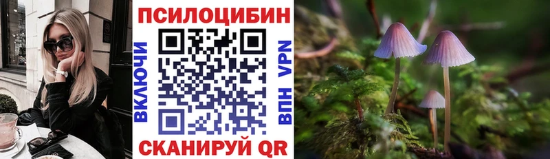 хочу   Харабали  Галлюциногенные грибы MAGIC MUSHROOMS 